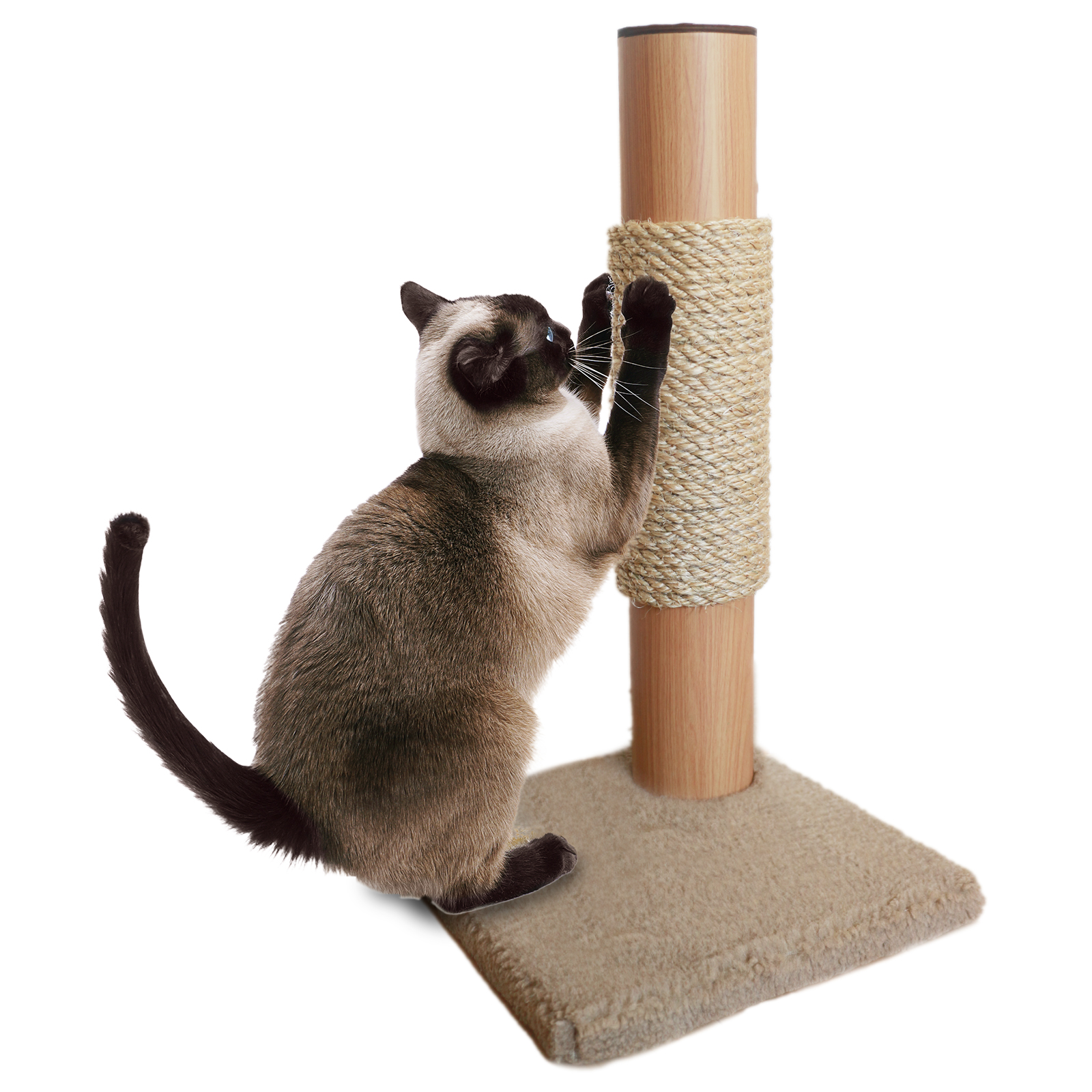 モカ隅っこタイプ