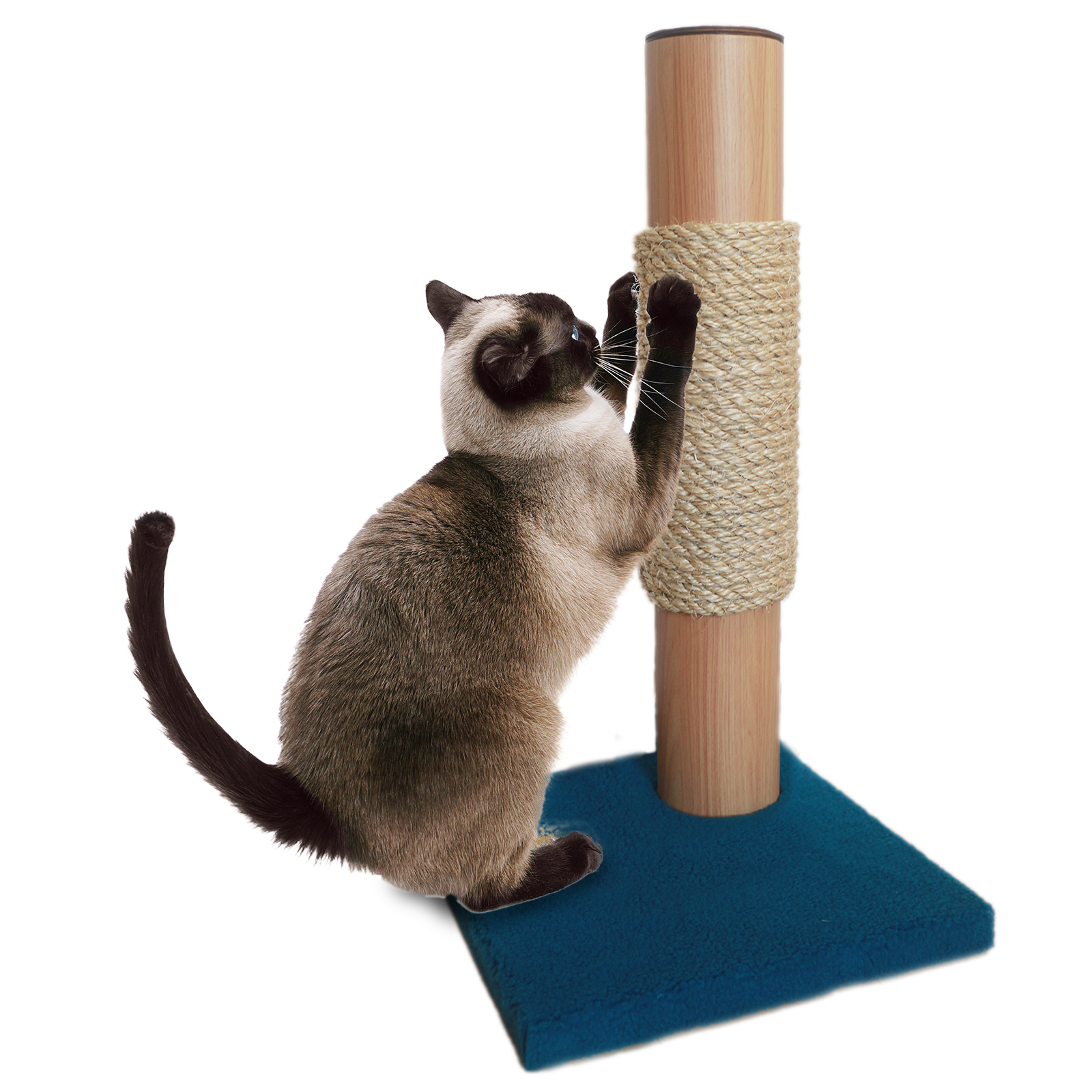 ネイビー隅っこタイプ